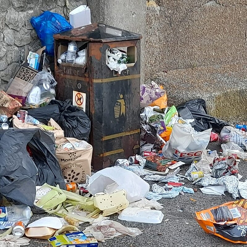 Over-run / overflowing bin and scattered litter and bin bags