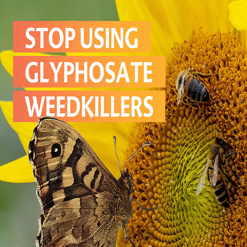 Stop using Glyphosate Weed Killers