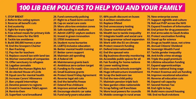 100 Lib Dem Policies