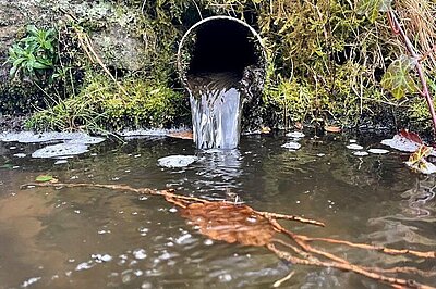 Sewage Discharge into the water Corse